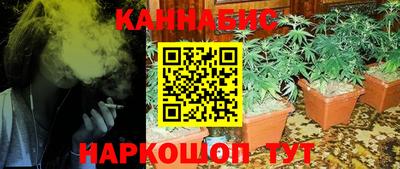 ГАЛЛЮЦИНОГЕННЫЕ ГРИБЫ Канаш